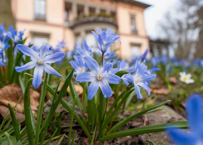 Hotel Schloss Wasserburg