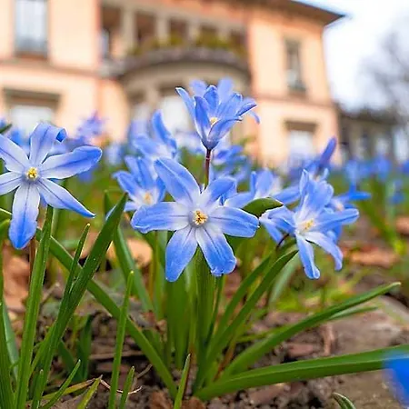 Schloss Hotel Wasserburg